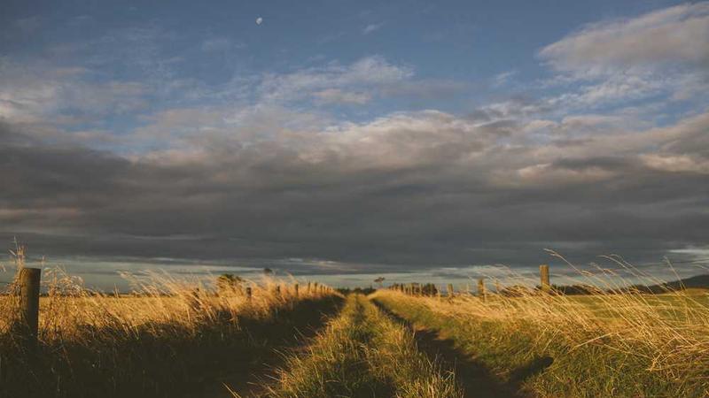 Business Name Numerology: How to Choose a Name That Feels Right