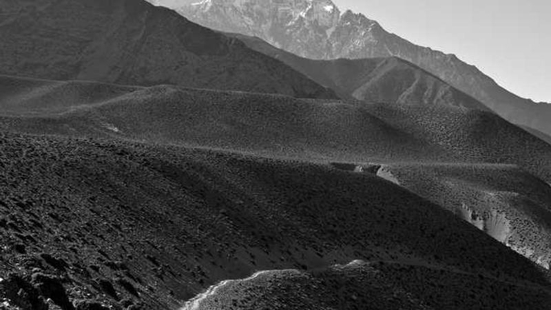 Psychic × Destiny Combinations: How to Read Moolank & Bhagyank Together